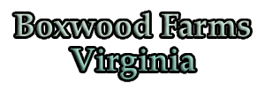 Boxwood Farms Virginia